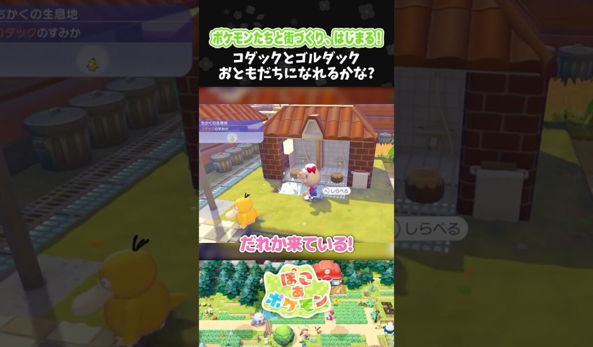 コダックとゴルダック、おともだちになれるかな？【ぽこ あ ポケモン】【ぽこポケ】【配信切り抜き】 #Shorts
