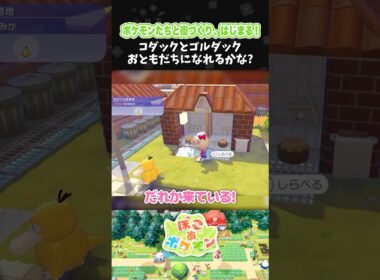 コダックとゴルダック、おともだちになれるかな？【ぽこ あ ポケモン】【ぽこポケ】【配信切り抜き】 #Shorts