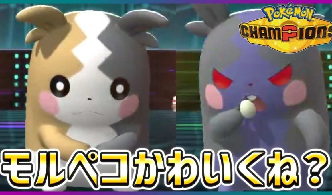 【ポケモン賭博黙示録#4-4】モルペコかわいぃぃぃいいいいいいい【ポケモンチャンピオンズ】