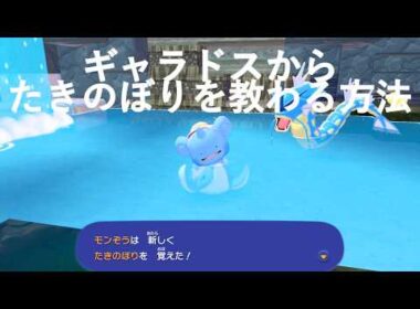 【ぽこあポケモン】ギャラドスから滝登りを教わる手順　#ぽこあポケモン #pokémon #ギャラドス