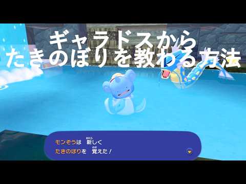 【ぽこあポケモン】ギャラドスから滝登りを教わる手順　#ぽこあポケモン #pokémon #ギャラドス