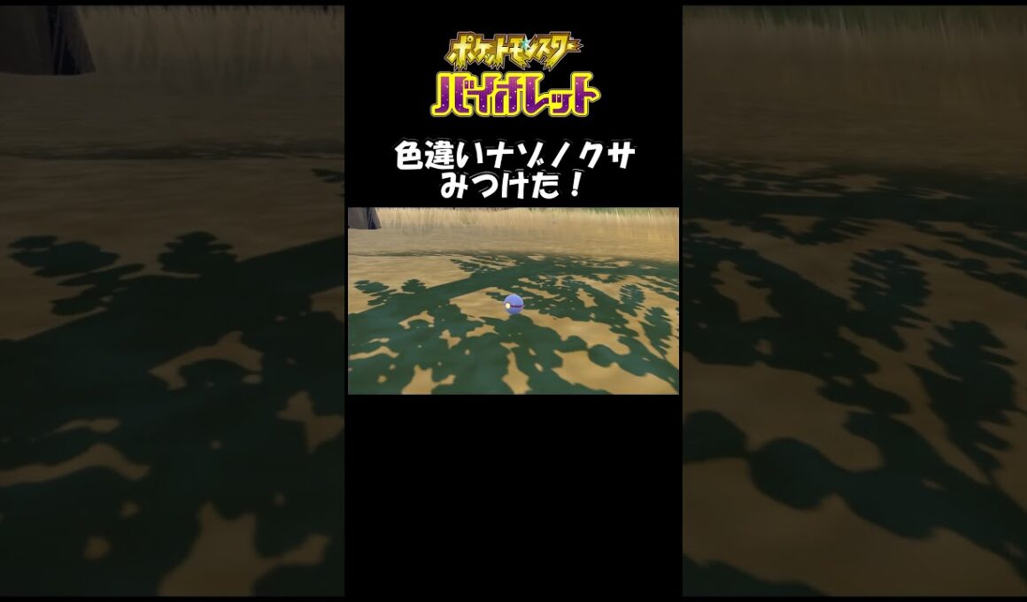 色違いナゾノクサみつけた！#バイオレット#ポケモン#ポケモンsv #色違い#ゲーム#ゲーム実況#ゲーム配信#初心者#ゲーマー夫婦#switch＃game
