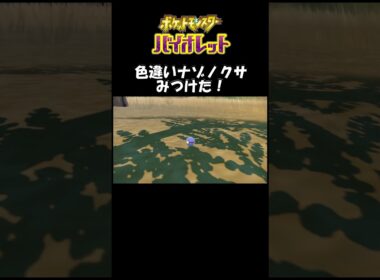 色違いナゾノクサみつけた！#バイオレット#ポケモン#ポケモンsv #色違い#ゲーム#ゲーム実況#ゲーム配信#初心者#ゲーマー夫婦#switch＃game