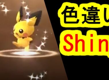 色違いピチューがタマゴ孵化、孵った(ポケモンGO、PokemonGO)