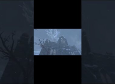 バドレックスに会う前に冠の神殿を訪れると？#shorts #ポケモン剣盾 #ポケモン