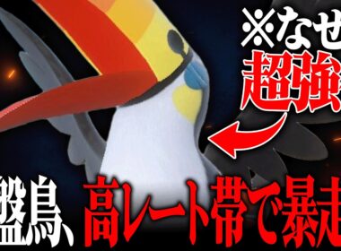 【まさかのクソ強い】専用技が超強化されて現在爆増してる謎過ぎる序盤鳥、その名は『ドデカバシ』。【ポケチャン】