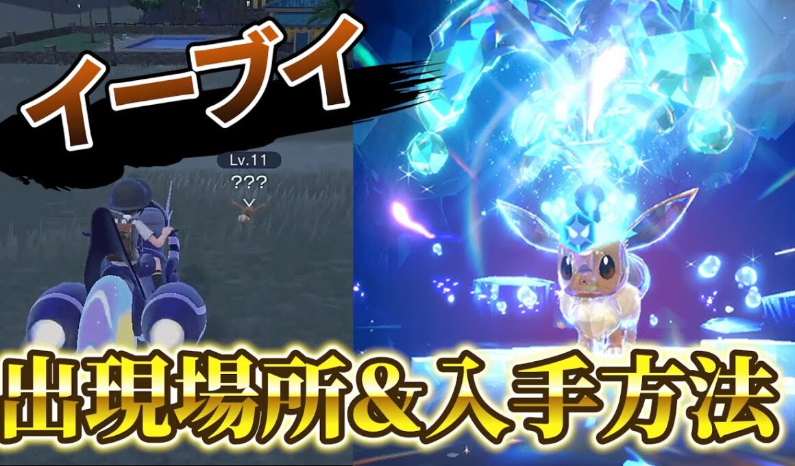【ポケモンスカーレットバイオレット(ポケモンsv)】イーブイの入手方法＆出現場所が判明！