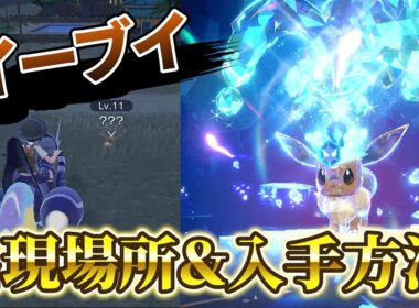 【ポケモンスカーレットバイオレット(ポケモンsv)】イーブイの入手方法＆出現場所が判明！