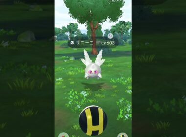 [PokemonGO] グラサンガラルサニーゴイベント最終日に色違いゲット！ #ポケモンgo