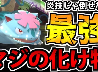 【最強の草】一致高火力の炎技で倒せる訳がない 「メガフシギバナ」がインチキすぎる件【ポケモンチャンピオンズ】