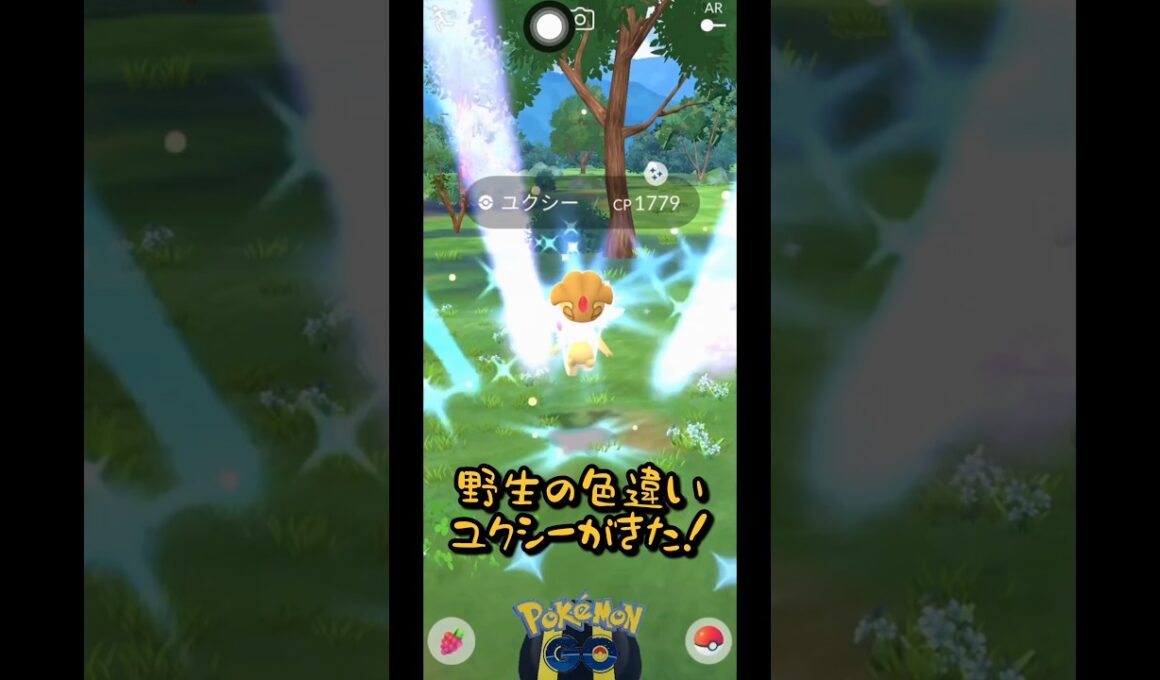 野生の色違いユクシーと出会ってしまってパニックに！