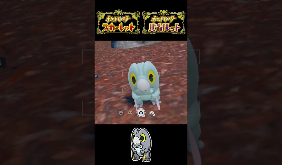 ナゾノクサ、レントラー、セビエ、ユキワラシ、クマシュンの色違いを捕まえる！【ポケモンSV】#shorts