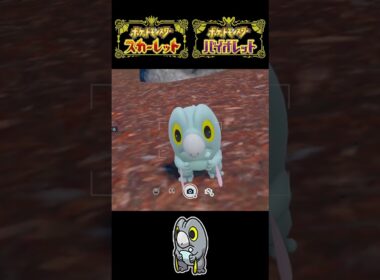 ナゾノクサ、レントラー、セビエ、ユキワラシ、クマシュンの色違いを捕まえる！【ポケモンSV】#shorts