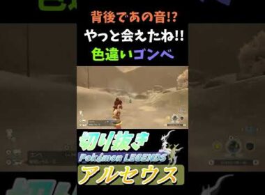色違い ゴンベさん『Pokémon LEGENDS アルセウス』【Arceus/プレイ動画/ポケモン/レジェンズ/切り抜き】#Shorts