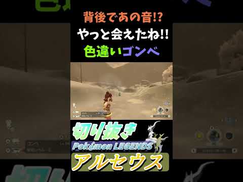 色違い ゴンベさん『Pokémon LEGENDS アルセウス』【Arceus/プレイ動画/ポケモン/レジェンズ/切り抜き】#Shorts