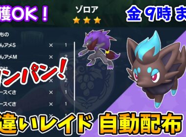 乱獲OK！ゾロア色違いレイド自動配布会！【ポケモンSV】