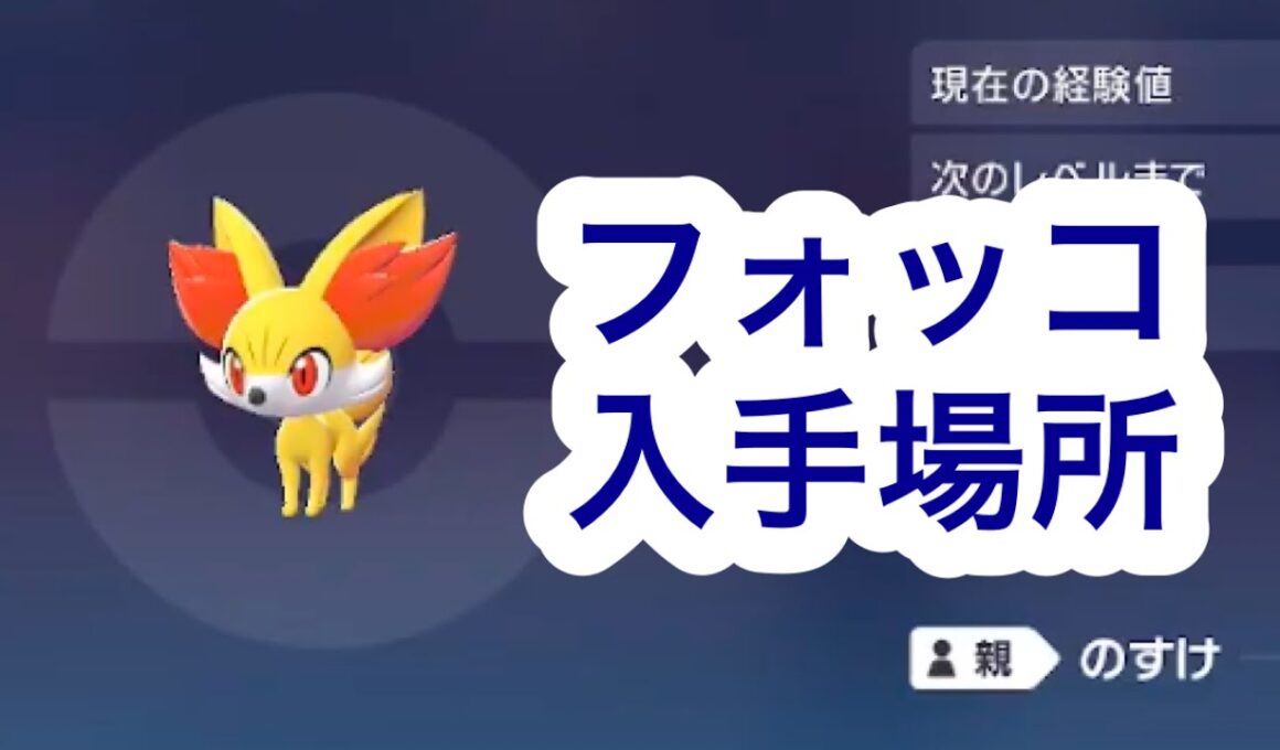 【ポケモンZA】フォッコ入手場所