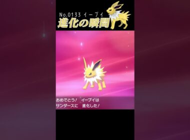 【ポケモン剣盾】イーブイ 進化の瞬間 #shorts【サンダース編】