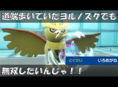 いろめがねヨルノズクで無双したいんじゃ！！【ポケモンSV対戦環境】