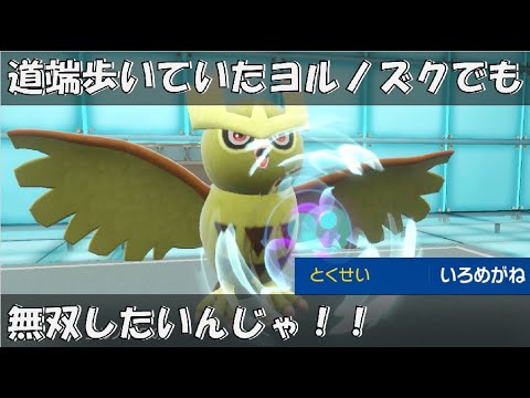 いろめがねヨルノズクで無双したいんじゃ！！【ポケモンSV対戦環境】