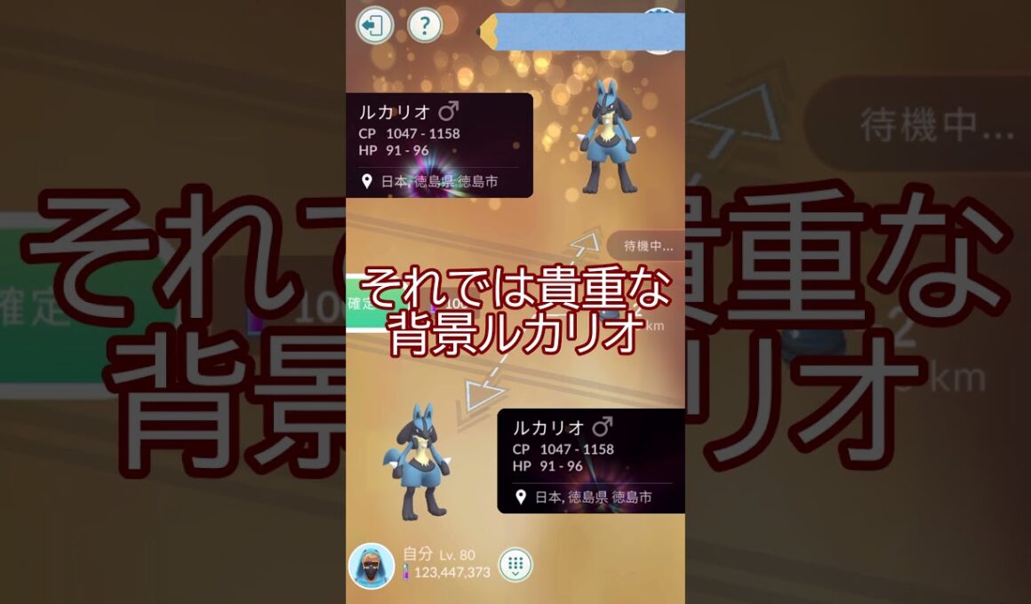 背景ルカリオ高個体が…🫶キラ交換✨#ポケモンgo #pokemongo #pokemongoshorts