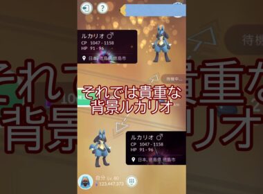 背景ルカリオ高個体が…🫶キラ交換✨#ポケモンgo #pokemongo #pokemongoshorts