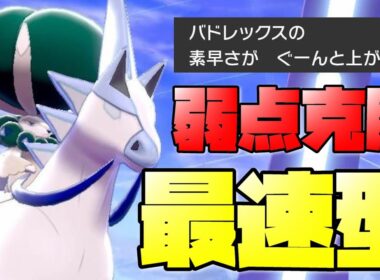 ザシアンやイベルタルに勝てる？！ある技を入れた最速型『バドレックス白馬』の育成論、使い方紹介！【ポケモン剣盾 実況 シリーズ８ 冠の雪原】