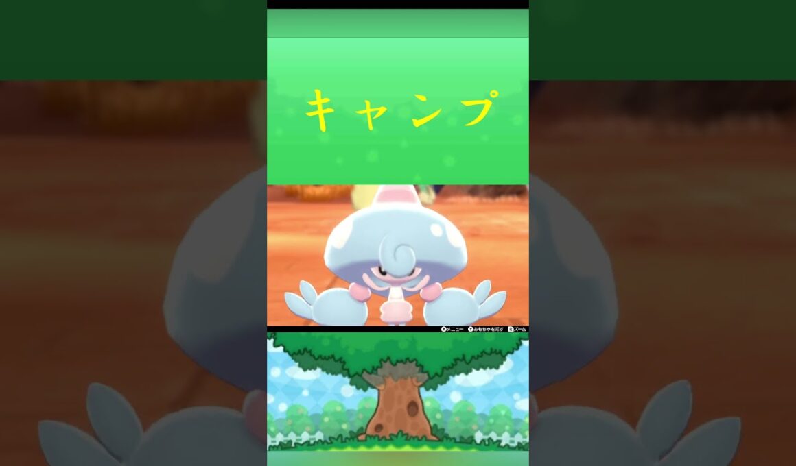 ポケモン テブリム キャンプ ポケリフレ ポケパルレ #ポケモン #Pokemon  #nintendoswitch  #ポケモンsv  #ふれあい #キャンプ  #ピクニック #ポケモン剣盾