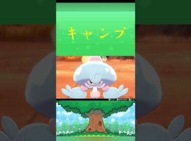 ポケモン テブリム キャンプ ポケリフレ ポケパルレ #ポケモン #Pokemon  #nintendoswitch  #ポケモンsv  #ふれあい #キャンプ  #ピクニック #ポケモン剣盾