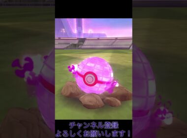 ダイマックスマメパト参上！ #ポケモンgo
