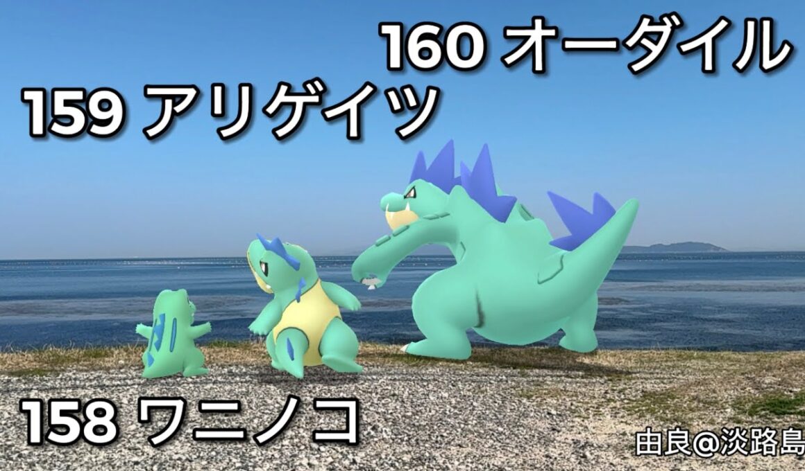 ワニノコ｜Totodile｜アリゲイツ｜Croconaw｜オーダイル｜Feraligat｜ShinyPokémon【ポケモンGO】PoKeMoN GO AR｜AR動画｜GOsnapshot