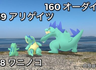 ワニノコ｜Totodile｜アリゲイツ｜Croconaw｜オーダイル｜Feraligat｜ShinyPokémon【ポケモンGO】PoKeMoN GO AR｜AR動画｜GOsnapshot