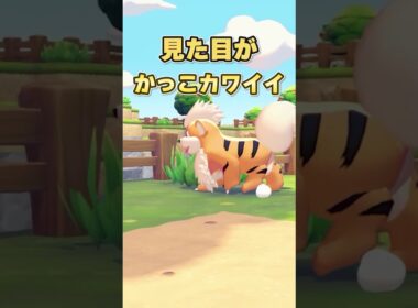 【ポケモン生態図鑑】現役獣医師のガチ考察ポケモン図鑑：ガーディ【#ポケモン】#shorts   #pokemon