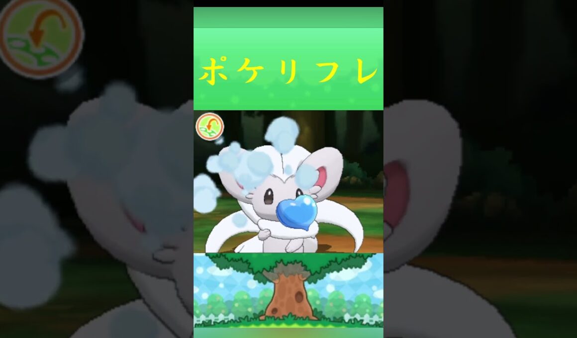 ポケモン チラチーノ ポケリフレ ポケパルレ #ポケモン #Pokemon  #3DS #ポケモン技 #ポケモンsv #ポケモン #ふれあい #キャンプ #カレー #サンドイッチ #ピクニック