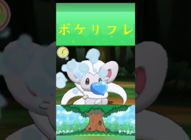 ポケモン チラチーノ ポケリフレ ポケパルレ #ポケモン #Pokemon  #3DS #ポケモン技 #ポケモンsv #ポケモン #ふれあい #キャンプ #カレー #サンドイッチ #ピクニック