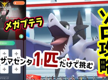 【ポケモンGO】ソロ攻略！メガプテラレイドをザマゼンタ1匹だけで弱点を対策して1人討伐！メガプテラをやるメリットなども解説