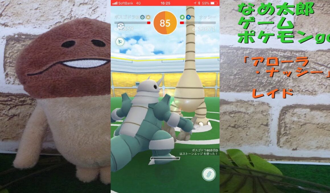 【ポケモンgo】なめ太郎の今日のレイド「アローラ・ナッシー」