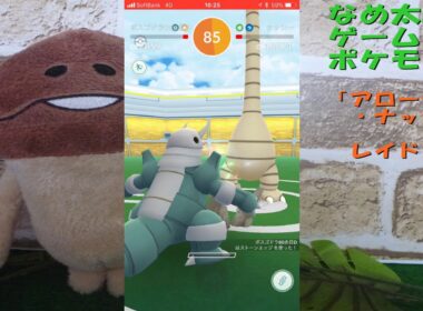 【ポケモンgo】なめ太郎の今日のレイド「アローラ・ナッシー」