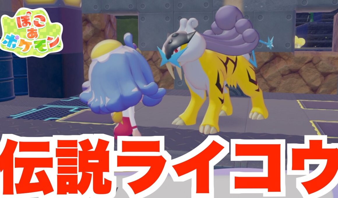 【ぽこあポケモン】まさかの伝説ポケモン！？ふらっと行ったらライコウがいた！【ぽこポケ】
