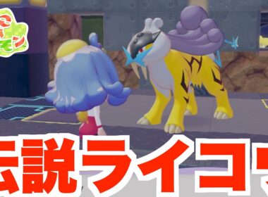 【ぽこあポケモン】まさかの伝説ポケモン！？ふらっと行ったらライコウがいた！【ぽこポケ】