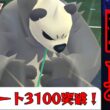 【極悪】環境にぶっ刺さりすぎのゴロンダで破壊！！格闘なのにゴーストに強いのは流石にヤバすぎるwww【GBL】【スーパーリーグ】