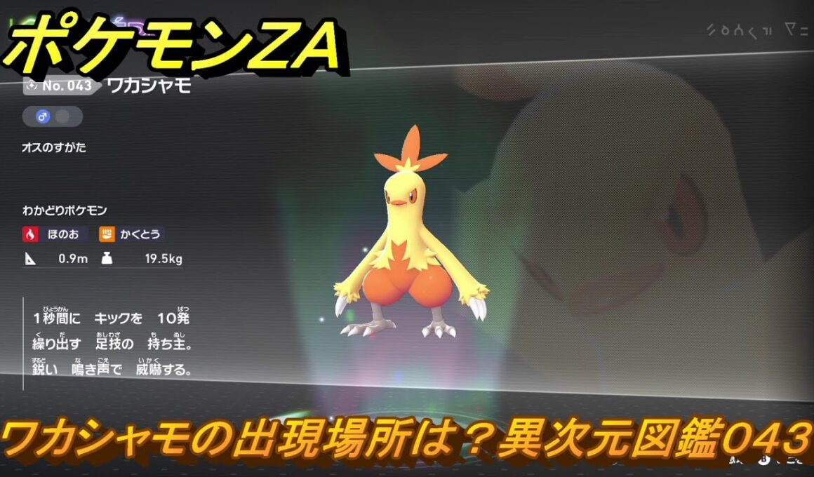 ポケモンＺＡ　ワカシャモの出現場所は？異次元図鑑０４３　＃７７４　【DLC「M次元ラッシュ」】