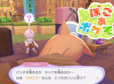 【ぽこあポケモン】カポエラーとバルキーの特殊会話【ぽこポケ/Switch2】