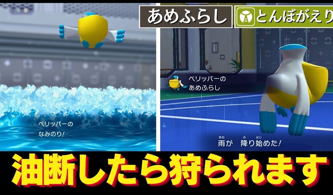 【油断大敵】見た目の貧弱さに見合わぬ天候火力で倒しにも行けるサポーター！ペリッパー【ポケチャン】