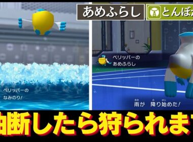 【油断大敵】見た目の貧弱さに見合わぬ天候火力で倒しにも行けるサポーター！ペリッパー【ポケチャン】