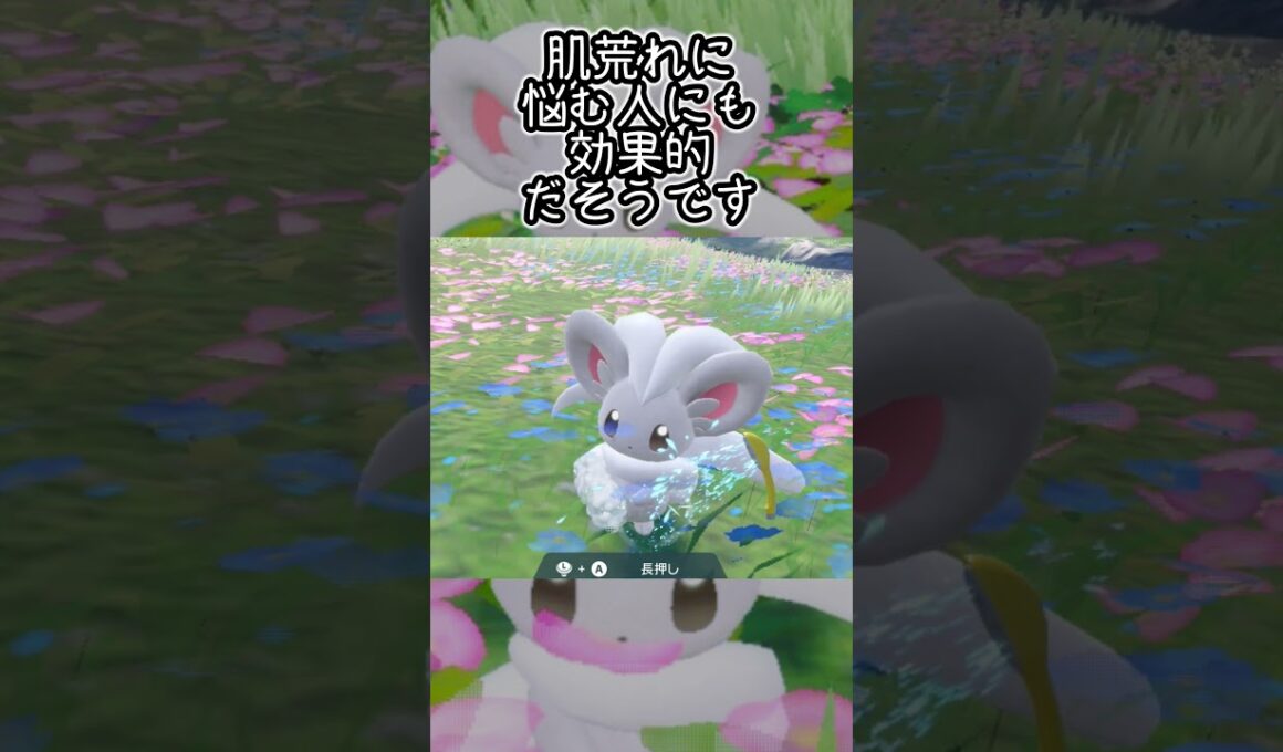 チラチーノ6匹とピクニック【ポケモンSV】#Shorts