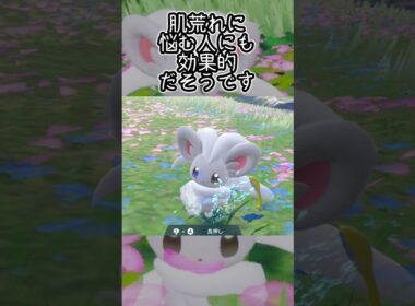 チラチーノ6匹とピクニック【ポケモンSV】#Shorts