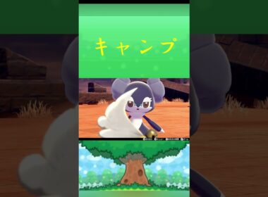 ポケモン イエッサン ♂ キャンプ ポケリフレ ポケパルレ #ポケモン #Pokemon  #nintendoswitch  #ポケモンsv  #ふれあい #キャンプ  #ピクニック #ポケモン剣盾