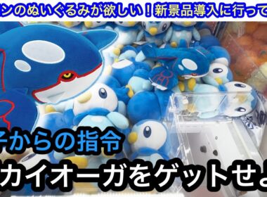 『パパカイオーガ獲ってきて！』息子のお願いの為にポケモンのぬいぐるみを獲りにいく！【CAPCOM】【ポケモン】【クレーンゲーム】【JapaneseClawMachine】【인형뽑기】【日本夾娃娃】
