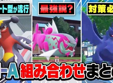 今、対策必須の「ポケモンの並び」をまとめてポケモン廃人が解説します！【チャンピオンズ】